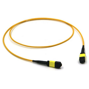 MPO/MTP Trunk Cable